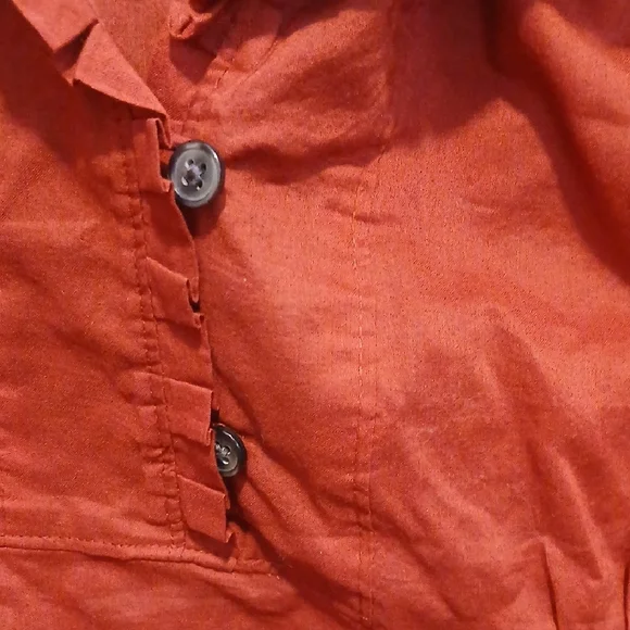 Banana Republic Rust Blouse - Picture 6 of 10